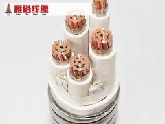 廢銅電線電纜處理技術(shù)